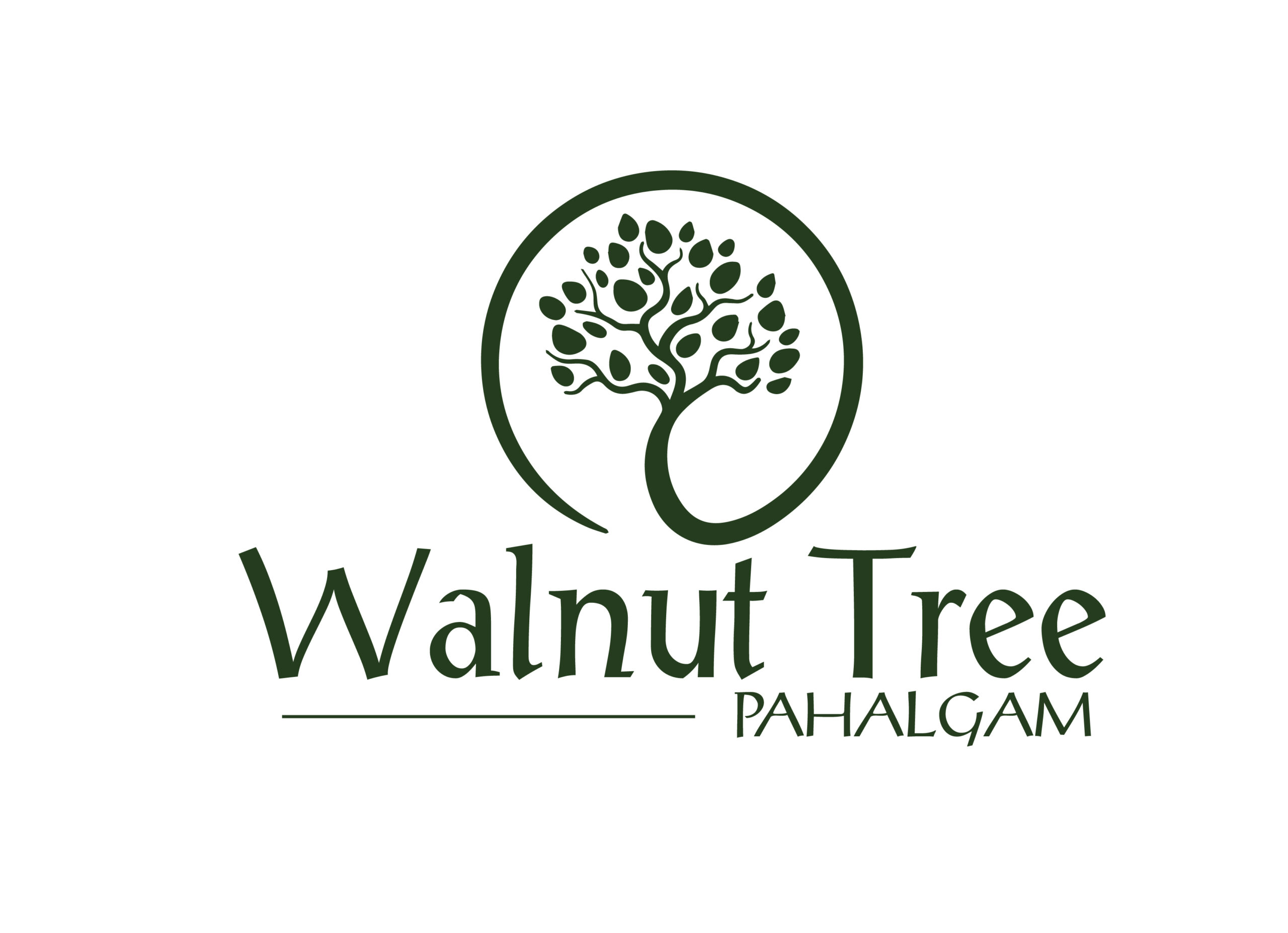 Walnut Tree 